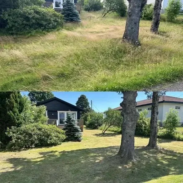 Hagearbeid — før